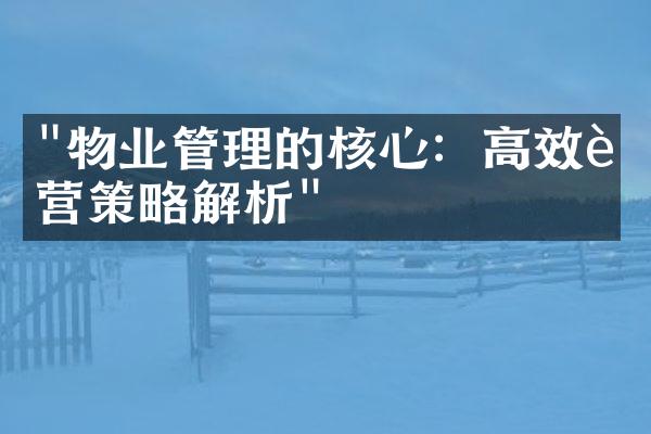 "物业管理的核心：高效运营策略解析"