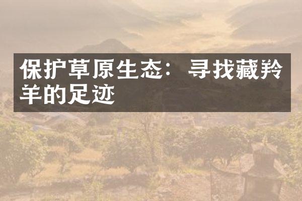 保护草原生态：寻找藏羚羊的足迹