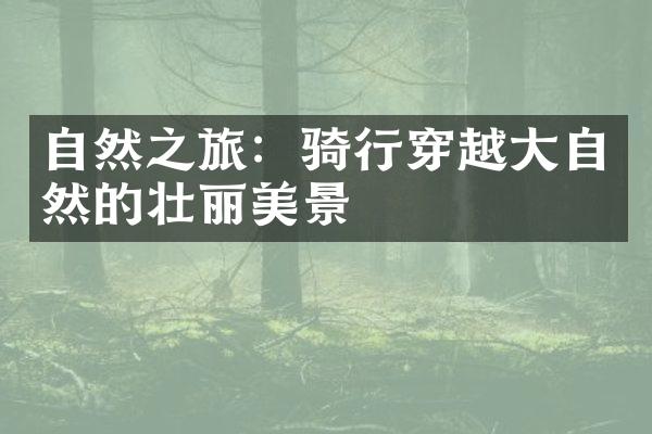 自然之旅：骑行穿越大自然的壮丽美景