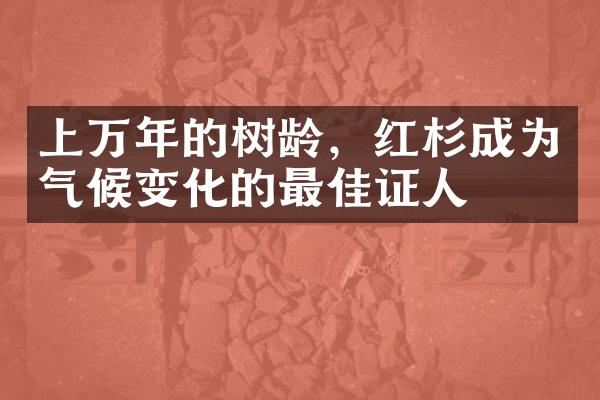 上万年的树龄，红杉成为气候变化的最佳证人