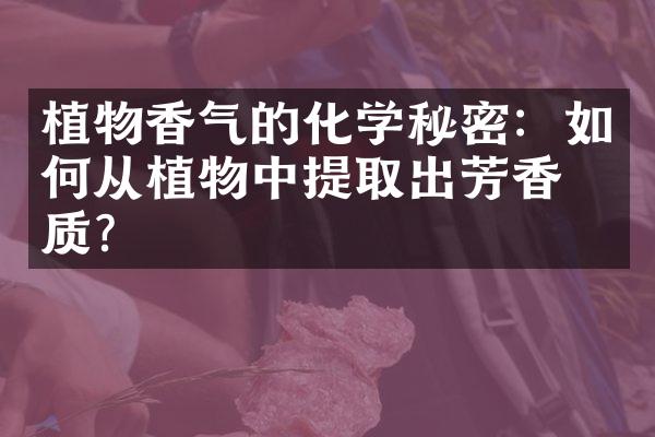 植物香气的化学秘密：如何从植物中提取出芳香物质？