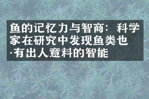 鱼的记忆力与智商：科学家在研究中发现鱼类也具有出人意料的智能