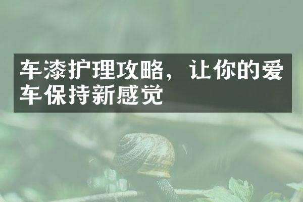 车漆护理攻略，让你的爱车保持新感觉