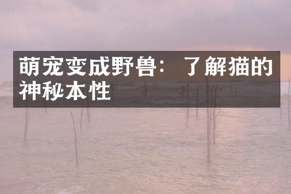 萌宠变成野兽：了解猫的神秘本性