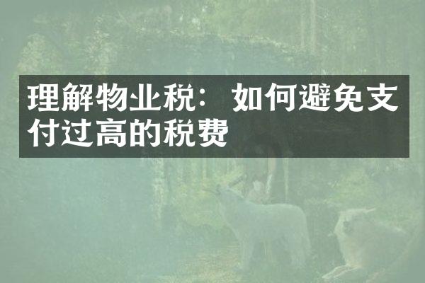 理解物业税：如何避免支付过高的税费