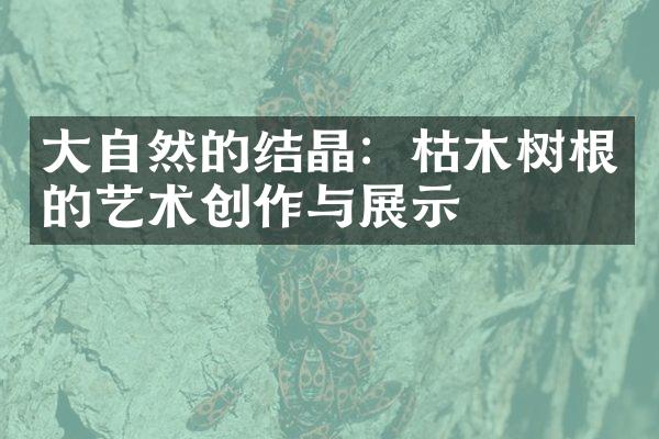 大自然的结晶：枯木树根的艺术创作与展示