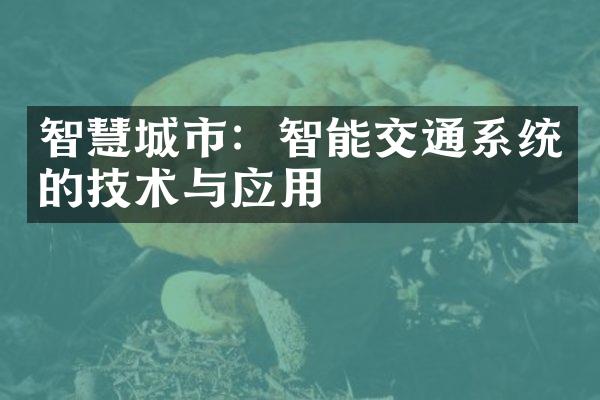 智慧城市：智能交通系统的技术与应用