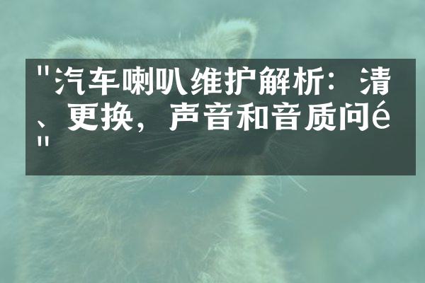 "汽车喇叭维护解析：清洗、更换，声音和音质问题"