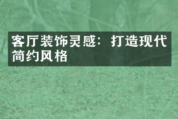 客厅装饰灵感：打造现代简约风格