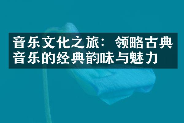 音乐文化之旅：领略古典音乐的经典韵味与魅力