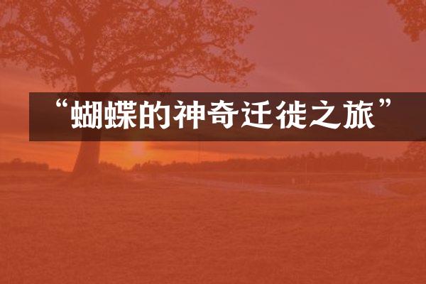 “蝴蝶的神奇迁徙之旅”