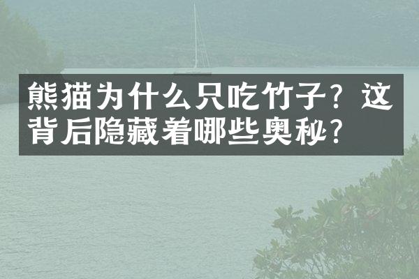 熊猫为什么只吃竹子？这背后隐藏着哪些奥秘？