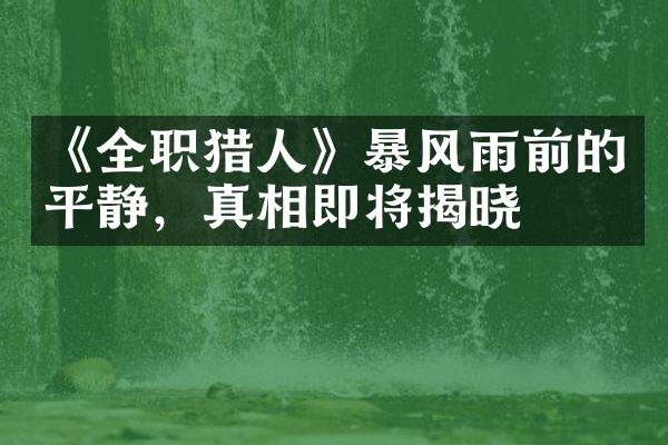 《全职猎人》暴风雨前的平静，真相即将揭晓
