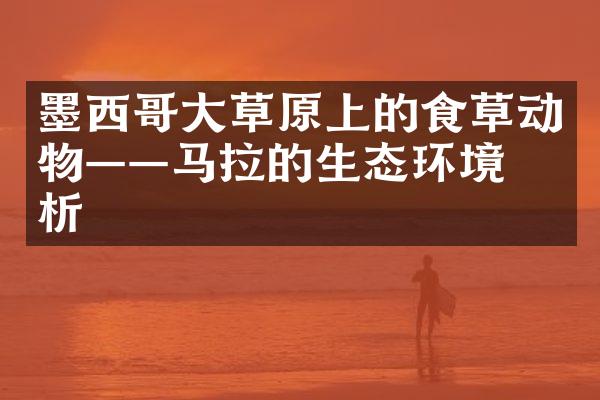墨西哥大草原上的食草动物——马拉的生态环境分析