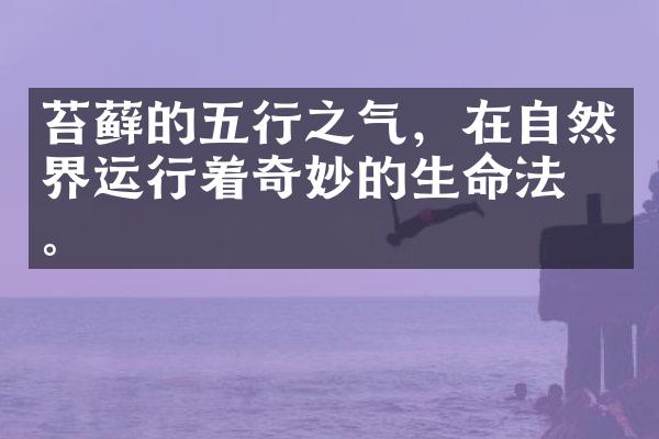 苔藓的五行之气，在自然界运行着奇妙的生命法则。