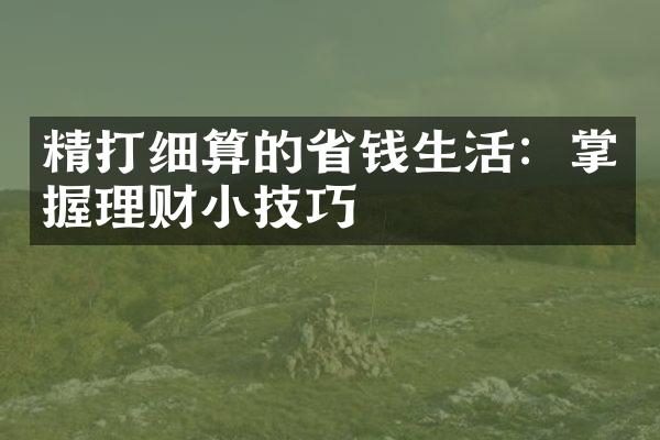 精打细算的省钱生活：掌握理财小技巧