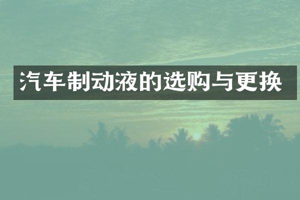 汽车制动液的选购与更换