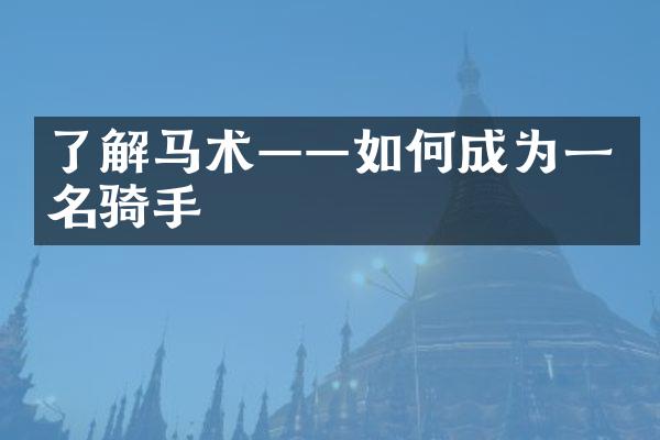了解马术——如何成为一名骑手