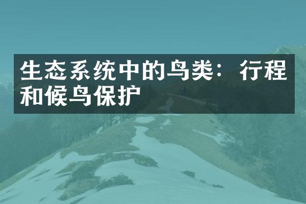 生态系统中的鸟类：行程和候鸟保护
