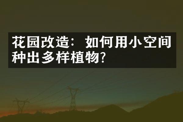 花园改造：如何用小空间种出多样植物？