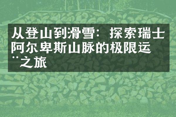 从登山到滑雪：探索瑞士阿尔卑斯山脉的极限运动之旅