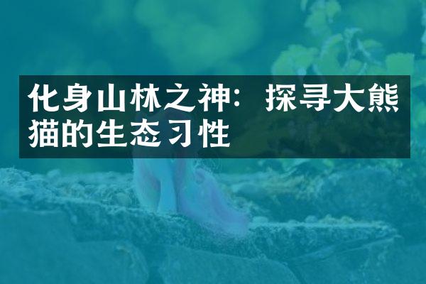 化身山林之神：探寻大熊猫的生态习性