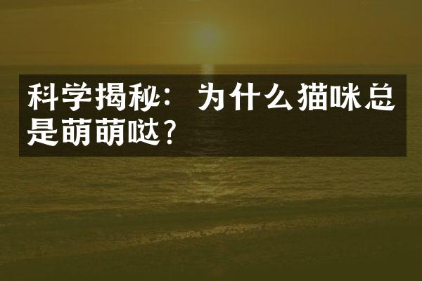 科学揭秘：为什么猫咪总是萌萌哒？