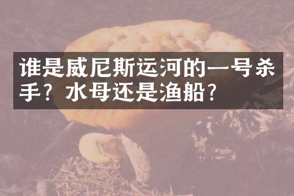 谁是威尼斯运河的一号杀手？水母还是渔船？