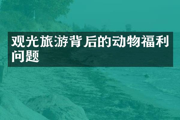 观光旅游背后的动物福利问题