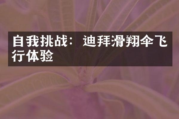 自我挑战：迪拜滑翔伞飞行体验