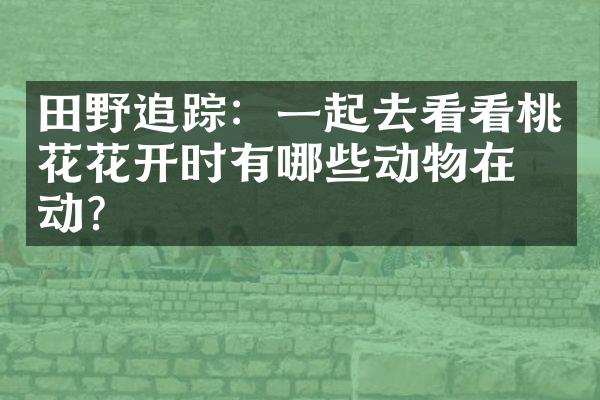 田野追踪：一起去看看桃花花开时有哪些动物在活动？