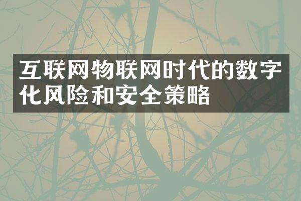 互联网物联网时代的数字化风险和安全策略