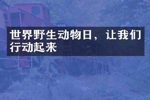 世界野生动物日，让我们行动起来