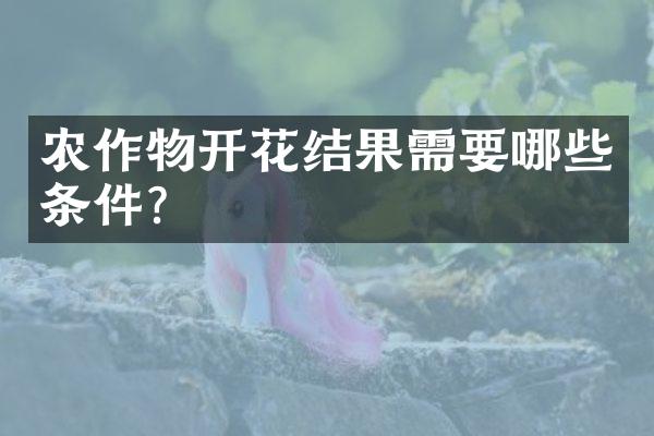 农作物开花结果需要哪些条件？