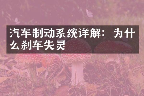 汽车制动系统详解：为什么刹车失灵