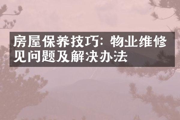 房屋保养技巧: 物业维修常见问题及解决办法