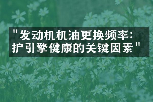 "发动机机油更换频率：保护引擎健康的关键因素"