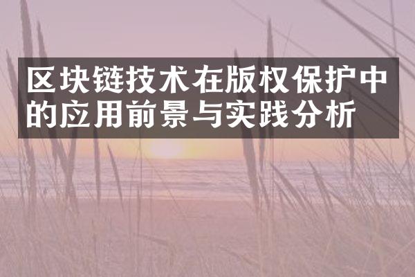 区块链技术在版权保护中的应用前景与实践分析？
