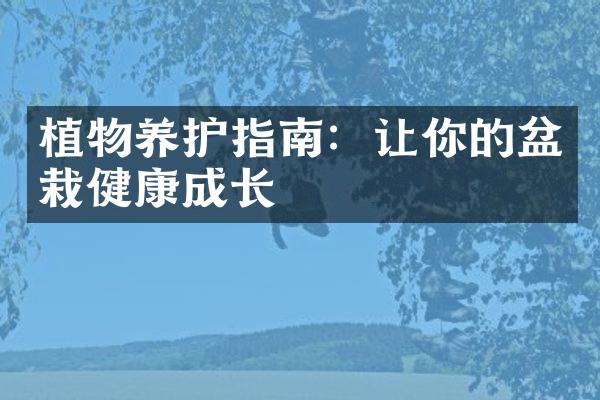 植物养护指南：让你的盆栽健康成长
