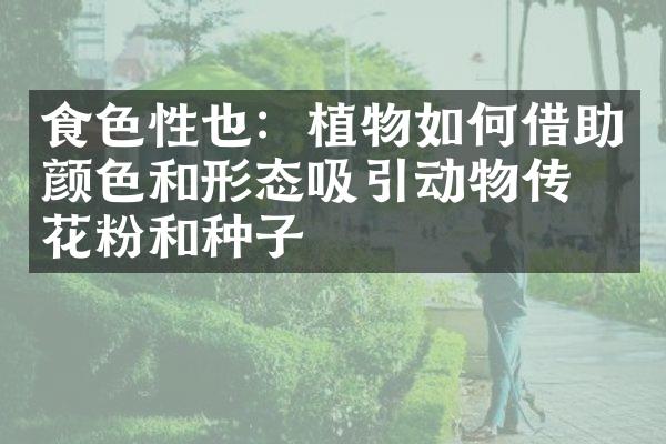 食色性也：植物如何借助颜色和形态吸引动物传播花粉和种子