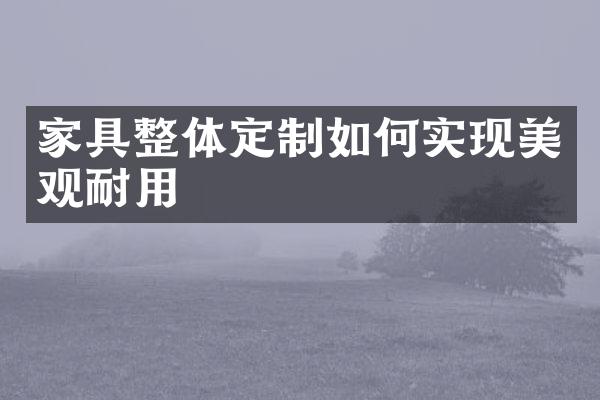 家具整体定制如何实现美观耐用