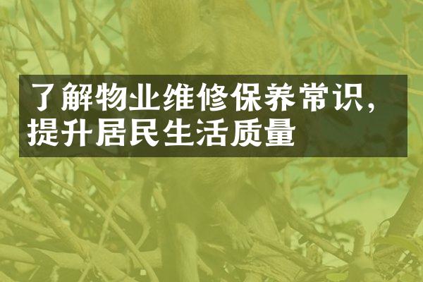 了解物业维修保养常识，提升居民生活质量