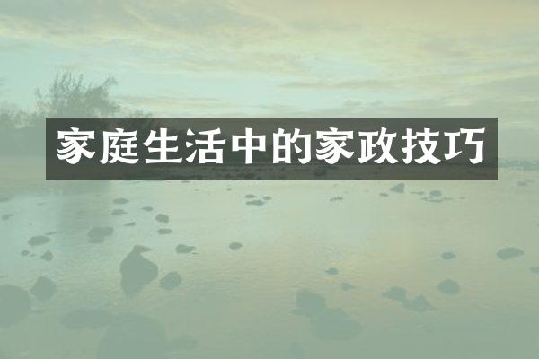 家庭生活中的家政技巧