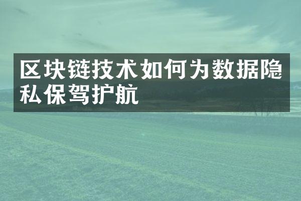 区块链技术如何为数据隐私保驾护航