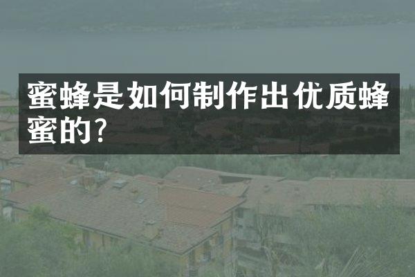 蜜蜂是如何制作出优质蜂蜜的？