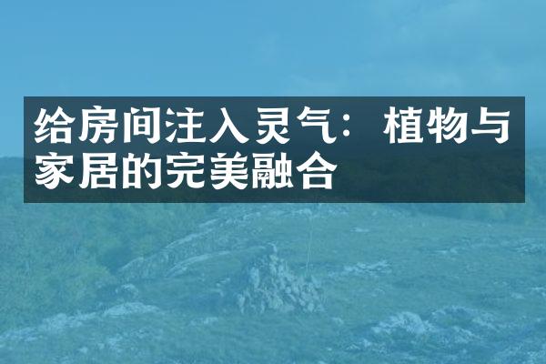 给房间注入灵气：植物与家居的完美融合