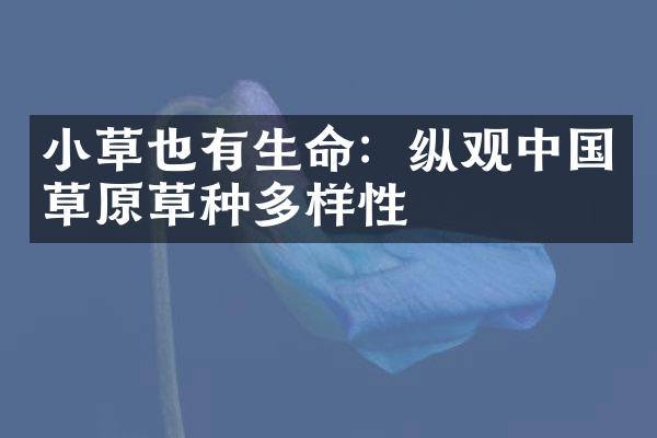 小草也有生命：纵观中国草原草种多样性