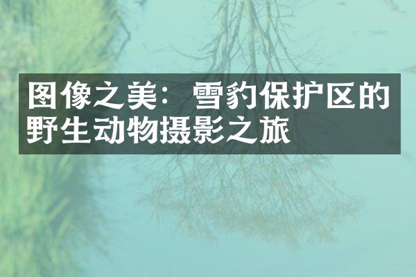 图像之美：雪豹保护区的野生动物摄影之旅