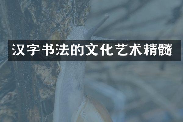 汉字书法的文化艺术精髓