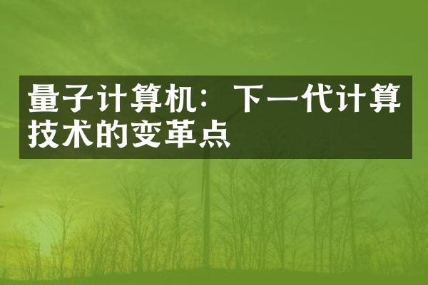 量子计算机：下一代计算技术的变革点